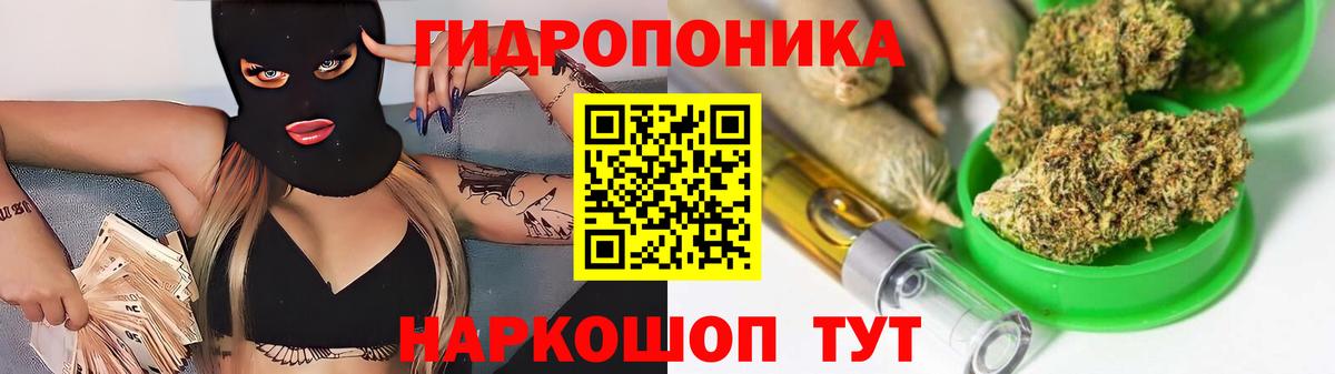 Конопля конопля  Каннабис план  Вход с VPN  Изобильный  Бошки марихуана White Widow 
